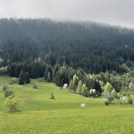 Jela Sljivovica (Zlatibor)