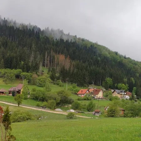 Jela Sljivovica (Zlatibor)