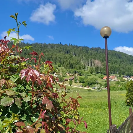 Jela * Sljivovica (Zlatibor)